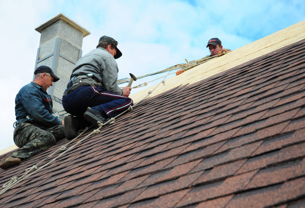 Best Storm Damage Roof Repair  in New Albany, IN